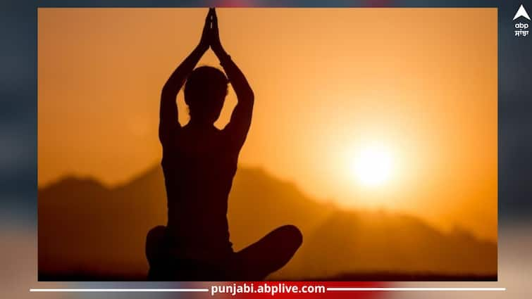 international-yoga-day-2023-not-only-benefits-but-excess-yoga-can-have-some-side-effects-details-inside ਯੋਗਾ ਕਰਨ ਦੇ ਸਿਰਫ ਫਾਇਦੇ ਹੀ ਨਹੀਂ ਸਗੋਂ ਕਈ ਨੁਕਸਾਨ ਵੀ ਹਨ ! ਕਿਤੇ ਤੁਸੀਂ ਵੀ ਨਹੀਂ ਕਰ ਰਹੇ ਇਹ ਗਲਤੀ