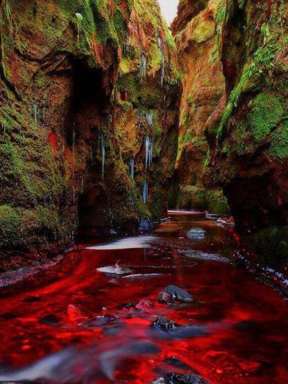 नदी से बहने लगी पानी की जगह 'खून', क्या है माजरा