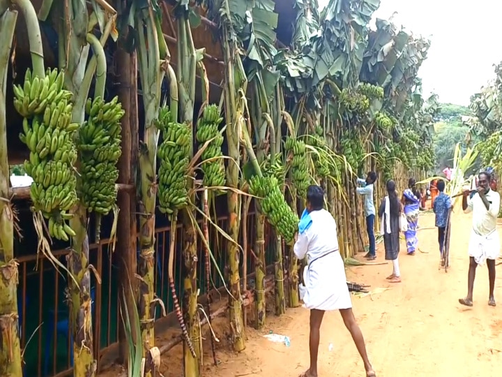 Mayiladuthurai: அமைச்சர் உதயநிதி சென்றபின் வாழைத்தார்களை போட்டி போட்டுக்கொண்டு பிடுங்கி சென்ற திமுகவினர்