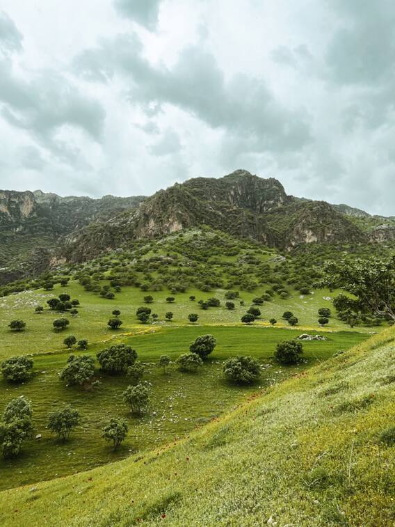 महाराष्ट्र के इन हिल स्टेशन को देख भूल जाएंगे हर नजारा