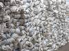 Cement Prices: अगस्त में ही घटेंगे सीमेंट के दाम, जानिए क्या हो सकती है इसके पीछे की वजह