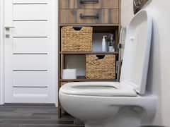 आप भी इस्तेमाल करते हैं वेस्टर्न टॉयलेट? तो जान लीजिए इसके गंभीर साइड इफेक्ट्स