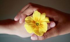 Zodiac Signs: ঔদ্ধত্য পোষায় না এঁদের, না কাউকে অসম্মান করেন, বিনয়ী আচরণই আলাদা করে চেনায় এই রাশির জাতকদের