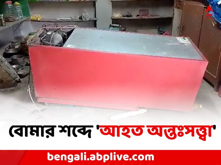 Panchayat Election 2023:  TMC BJP Clash at  Moyna Bakcha Village East Midnapore before Panchayat Poll Panchayat Election 2023: বোমার শব্দে 'আহত অন্তঃসত্ত্বা', TMC-BJP সংঘর্ষে ফের উত্তপ্ত ময়না