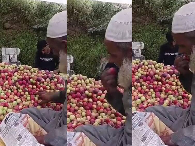 Viral Video The Person Packing The Fruit With Saliva Touching It Video Goes Viral Check Details Viral News: పండ్లను ఎంగిలి చేస్తూ ప్యాకింగ్, సోషల్ మీడియాలో వైరల్ అవుతున్న షాకింగ్ వీడియో