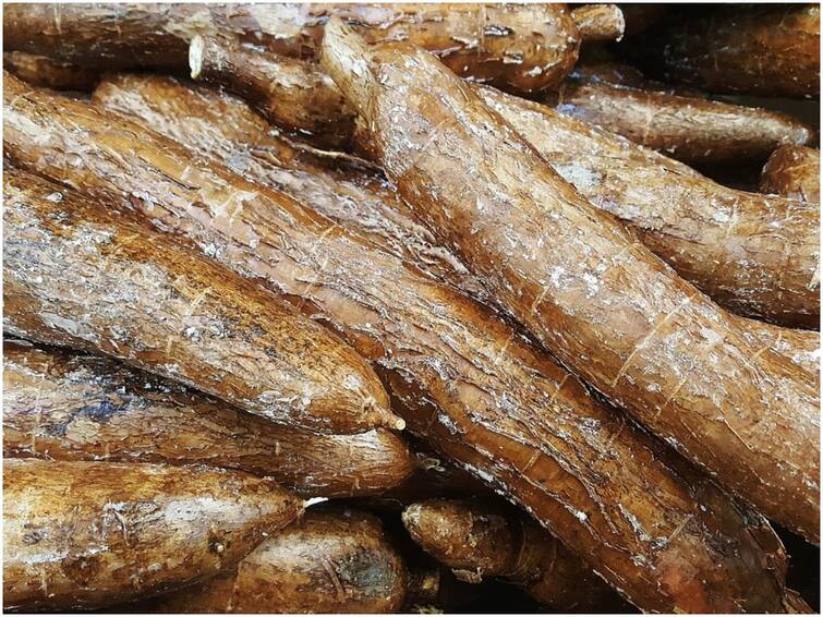 Do You Know Cassava Flour, And Its Health Benefits Cassava Flour: అమెజాన్ అడవుల్లో ఆ చిన్నారులను 40 రోజులు బతికించిన ఆహారం ఇదే - ఎంత ఆరోగ్యకరమో తెలుసా?