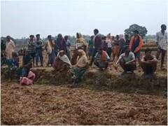 सरगुजा में खेत पर काम कर रहे दो लोगों को हाथी ने कुचला, वन विभाग पर लगे लापरवाही के आरोप