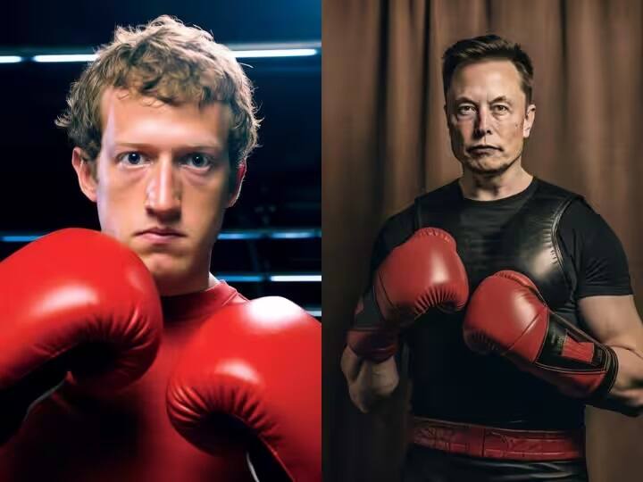 Elon Musk and Mark Zuckerberg Fight: mark zuckerberg accepted elon musk cage fight challenge Elon Musk સામે ફાઇટ કરવા તૈયાર થયા માર્ક ઝકરબર્ગ, બોલ્યા- મને લૉકેશન બતાવો......