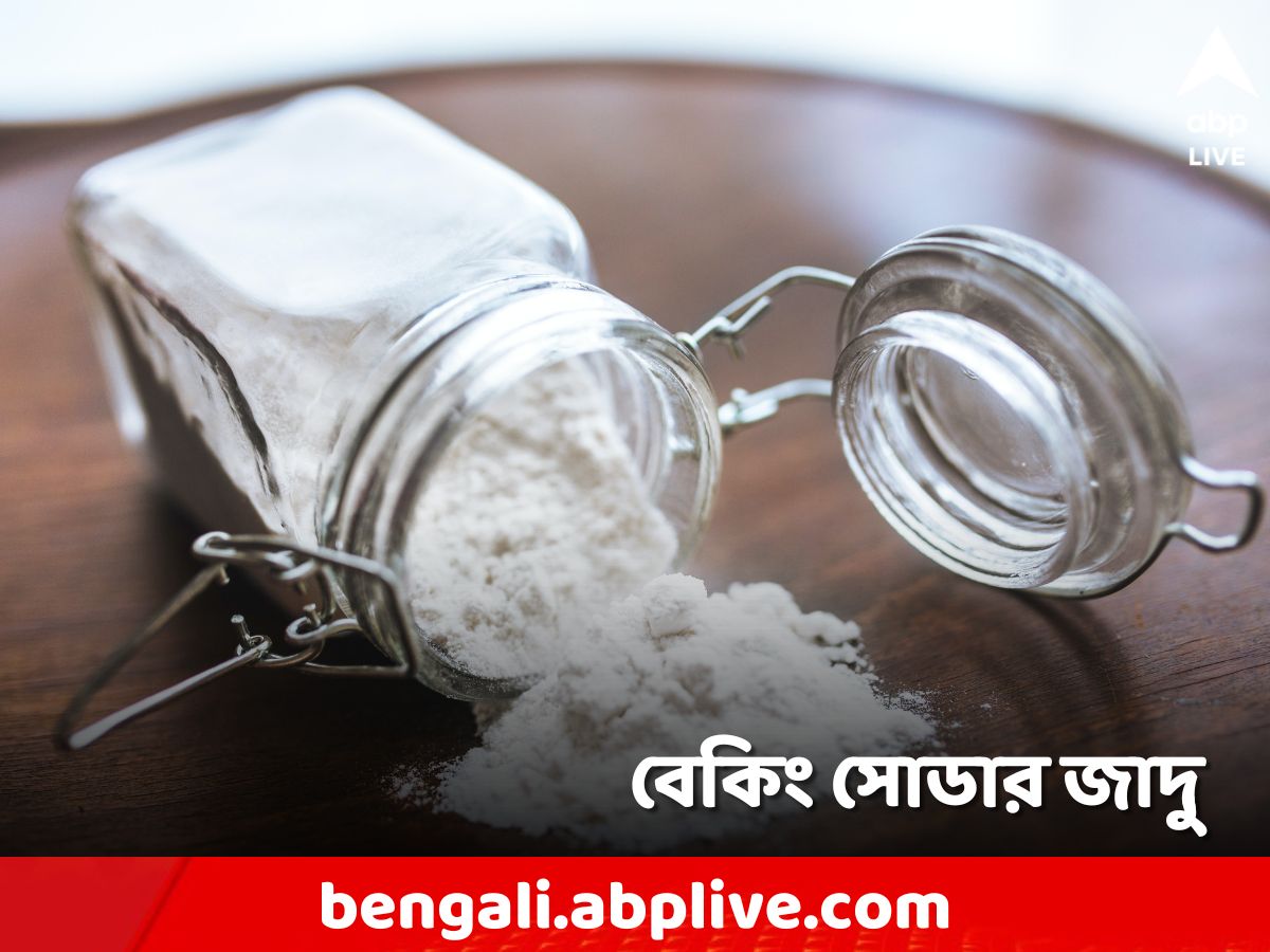 Hair  Skin Care in Bangla  Apps on Google Play