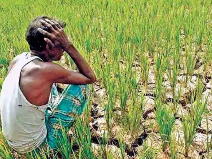 અલ નીનોના કારણે ચોમાસા પર સંકટ: WMOની વિશ્વને ગંભીર ચેતવણી