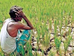 अल नीनो से खेती-बारी होगी प्रभावित! किसान यहां समझें लोन चुकाने को लेकर अपने अधिकार