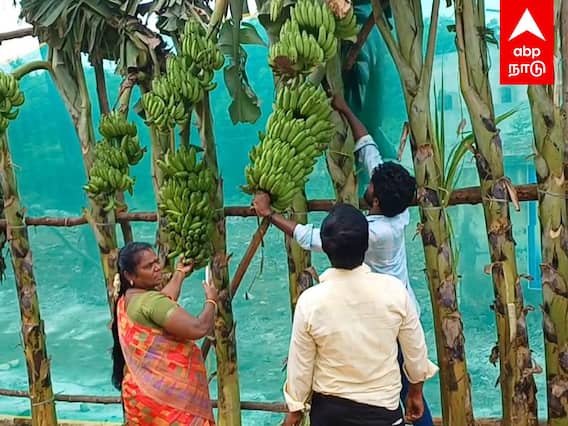 Varichiyur Selvam Arrested : பிரபல ரவுடி வரிச்சியூர் செல்வம் கொலை வழக்கில் கைது மதுரையில் பரபரப்பு