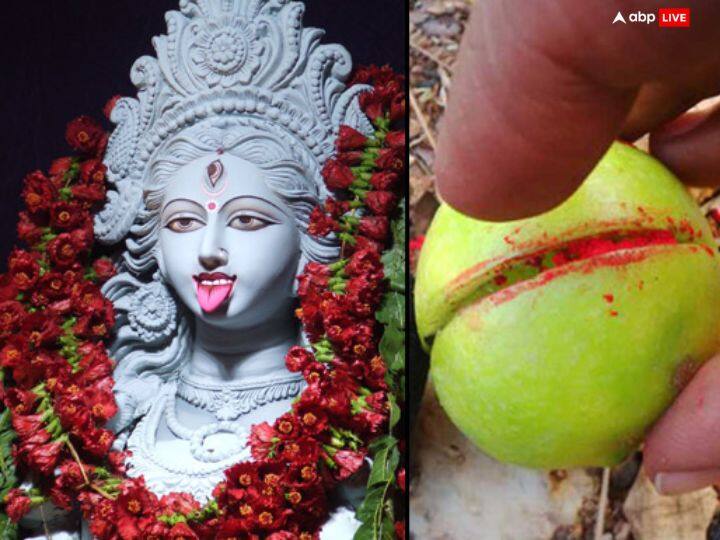 घर में अशांति का माहौल है, आए दिन कोई न कोई दुर्घना का शिकार हो रहे हैं तो गुप्त नवरात्रि में मां काली को 11 नींबू की माला बनाकर अर्पित करें. रोजाना देवी के नर्वाण मंत्र का एक माला जाप करें. इससे टोने-टोटके का नाश होता है और नकारात्मक ऊर्जा घर में प्रवेश नहीं करती.