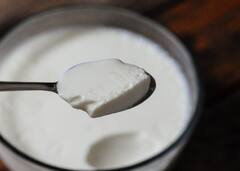 ਵਧਿਆ ਹੋਇਆ ਢਿੱਡ ਕਰਨਾ ਚਾਹੁੰਦੇ ਹੋ ਪਤਲਾ ਤਾਂ ਦਹੀਂ 'ਚ ਮਿਲਾ ਕੇ ਖਾਓ ਇਹ ਖਾਸ ਚੀਜ਼