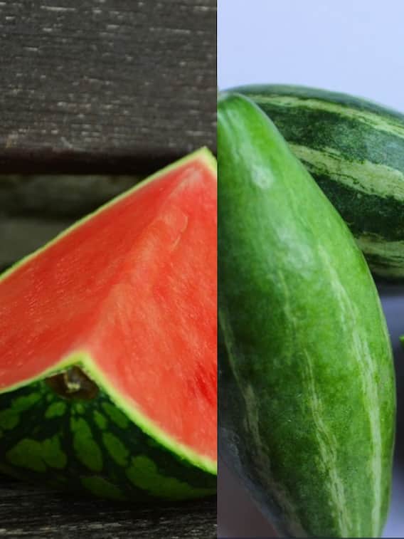 भोपाल: बाजार जाने से पहले पढ़ें फल-सब्जी के रेट