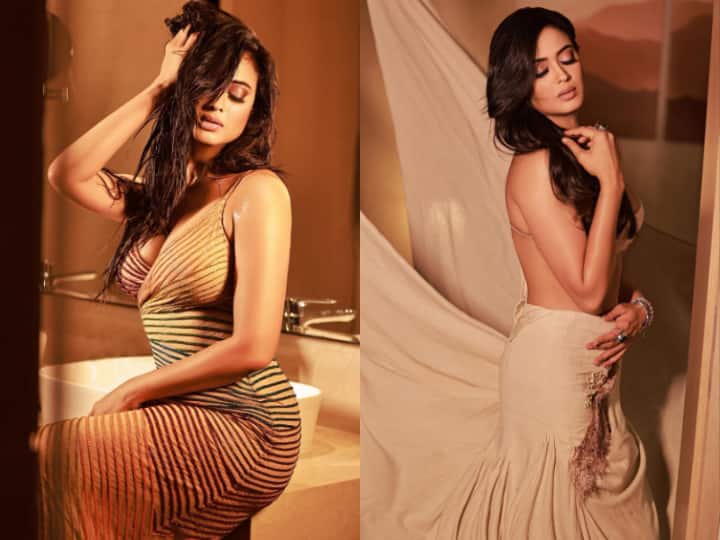 shweta tiwari sizzling look 