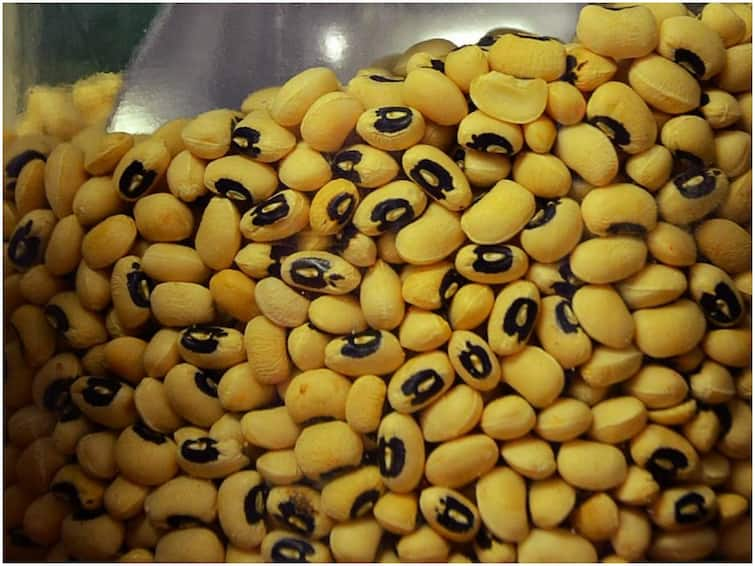 Black Eyed Beans Can Control  Weight Loss And Thyroid Lobia: బరువు, థైరాయిడ్ నియంత్రణలో ఉండాలంటే ఈ బీన్స్ తినాల్సిందే