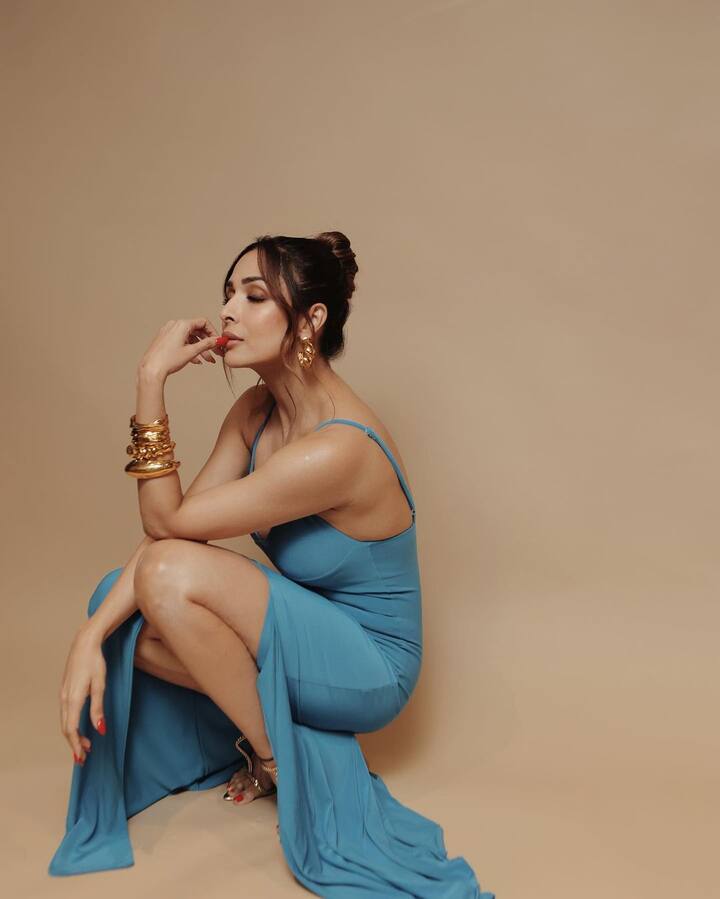 It had a deep-plunging neckline and a slit on one side. (Image Source: Instagram/Maneka Harisinghani)