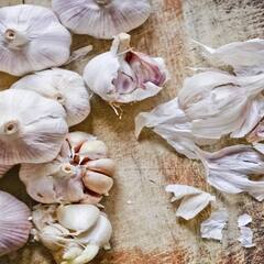 Garlic: ਗਰਮੀਆਂ 'ਚ ਲਸਣ ਖਾਣ ਦੇ ਫਾਇਦੇ ਤੇ ਨੁਕਸਾਨ