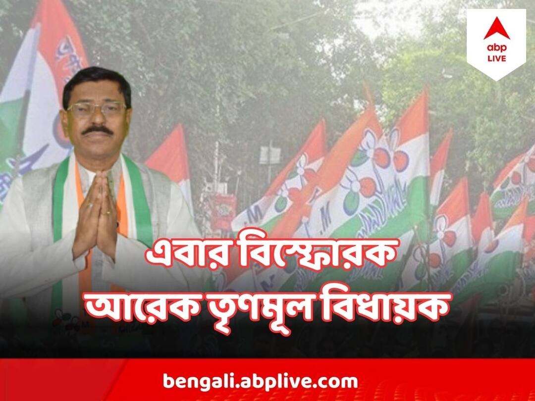 Panchayat Poll :'দলের মধ্য়ে গ্রুপবাজি রয়েছে' এবার বিস্ফোরক আরেক তৃণমূল বিধায়ক TMC MLA Giasuddin molla magrahat west assembly Rebels, Claims groupism in party Panchayat Poll :'দলের মধ্য়ে গ্রুপবাজি রয়েছে' এবার বিস্ফোরক আরেক তৃণমূল বিধায়ক