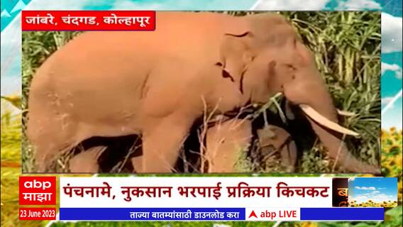 Saat Barachya Batmya : 7/12 : हत्तींपासून शेतीचं नुकसान ते उच्च शिक्षण घेऊन शेतीत प्रगती : ABP Majha