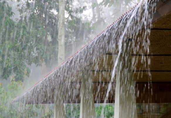 राज्यातील नागरिकांसाठी आनंदाची बातमी आहे. राज्यात आजपासून (23 जून) पाऊस (Rain) पडण्याची शक्यता हवामान विभागानं (IMD) वर्तवली आहे.