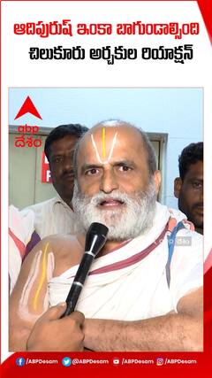 ఆదిపురుష్ సినిమాపై చిలుకూరు అర్చకుల రియాక్షన్