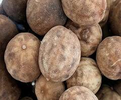 Dried Lemons Use: ਸੁੱਕੇ ਨਿੰਬੂ ਹੁੰਦੇ ਨੇ ਬੇਹੱਦ ਲਾਭਦਾਇਕ, ਭੁੱਲ ਕੇ ਵੀ ਨਾ ਸੁੱਟੋ; ਇੰਝ ਇਨ੍ਹਾਂ ਦੀ ਕਰੋ ਵਰਤੋਂ