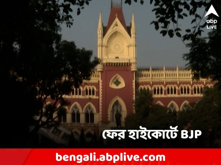 Opposition could not submit nomination for Panchayat Poll in Canning Block 1, BJP went to court, separate PIL filed Panchayat Election: ক্যানিং ১ ব্লকে ২৭৪ আসনে নেই বিরোধীরা, আদালতে বিজেপি! আলাদা জনস্বার্থ মামলাও