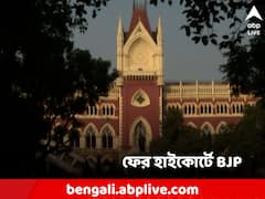 ক্যানিং ১ ব্লকে ২৭৪ আসনে নেই বিরোধীরা, আদালতে বিজেপি! আলাদা জনস্বার্থ মামলাও