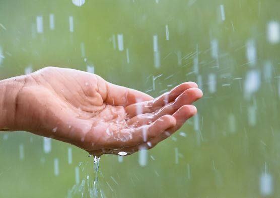 पेरणीयोग्य पाऊस झाल्याशिवाय पेरणी करु नयेत असे आवाहन कृषी विभागसह तज्ज्ञ करत आहे. मान्सूनचा पेरणीयोग्य पाऊस म्हणजेच 75 ते 100  मिमी पाऊस झाल्यानंतरच खरीप पिकांची पेरणी केली पाहिजे.