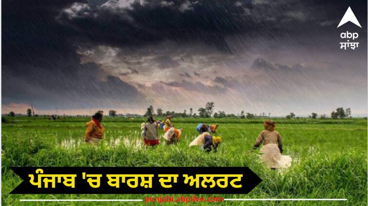 Rain alert in Punjab According to the Meteorological Department there is a possibility of more rain than usual in Punjab from June 24 to 29 Punjab Weather Report: ਪੰਜਾਬ 'ਚ ਬਾਰਸ਼ ਦਾ ਅਲਰਟ, ਇਨ੍ਹਾਂ ਜ਼ਿਲ੍ਹਿਆਂ 'ਚ ਮੀਂਹ ਤੇ ਤੇਜ਼ ਹਨ੍ਹੇਰੀ ਦੀ ਸੰਭਾਵਨਾ