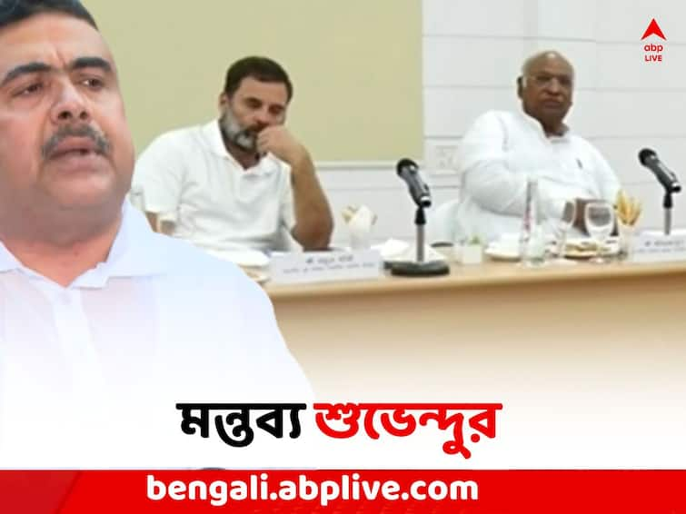 Patna Opposition meet: Opposition parties held meeting in Patna to avoid corruption, claims Suvendu Adhikari Suvendu Adhikari: 'পাটনায় চোরেদের সিন্ডিকেটের বৈঠক', মন্তব্য শুভেন্দুর