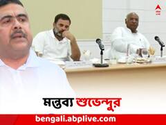 'পাটনায় চোরেদের সিন্ডিকেটের বৈঠক', মন্তব্য শুভেন্দুর