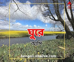 ছোটবেলার স্বপ্নের সেই ফুল আমার চোখের সামনে