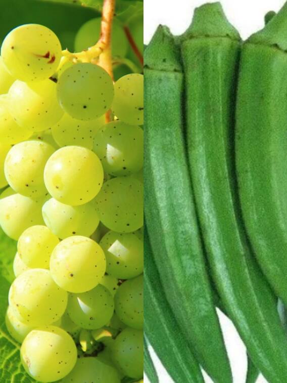 छत्तीसगढ़: रायपुर में फल-सब्जी के रेट क्या है?