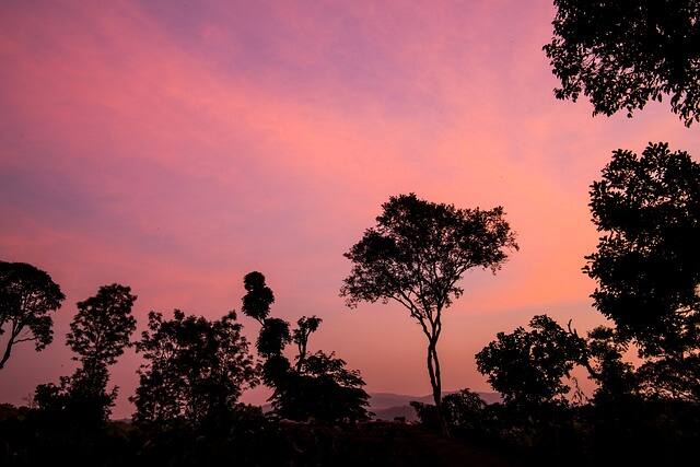 कूर्ग, कर्नाटक: कूर्ग, जिसे कोडागु के नाम से भी जाना जाता है, कर्नाटक का एक फेमस हिल स्टेशन है. मानसून के दौरान, यहां कोहरे से ढकी पहाड़ियां, उफनती नदियां और झरने बेहद मनमोहक लगते हैं. यह ट्रैकिंग और नेचर लवर लोगों के लिए एक शानदार जगह है.