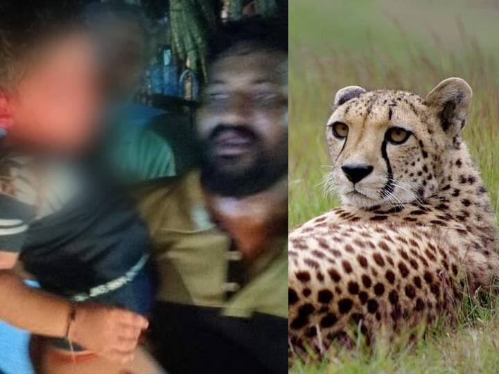 devotees shocked  cheetah atttacks 5 year old boy in tiumala Tirupati: திருப்பதிக்கு பாதயாத்திரை சென்ற சிறுவன்.. தாக்கிய சிறுத்தை.. அதிர வைக்கும் ‘திக் திக்’ நிமிடங்கள்..!