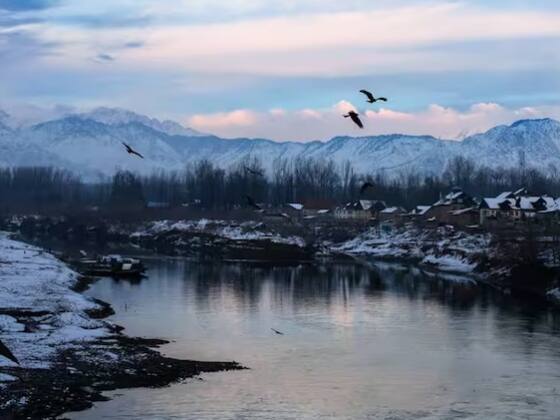 ਪਰਿਵਾਰ ਸੰਗ ਵੈਕੇਸ਼ਨ ਦਾ ਪਲਾਨ ਹੈ ਤਾਂ ਤੁਹਾਨੂੰ ਲੱਦਾਖ ਜ਼ਰੂਰ ਜਾਣਾ ਚਾਹੀਦਾ। ਲੱਦਾਖ ਦੀ ਸੁੰਦਰਤਾ ਦੇਖਣ ਵਾਲੀ ਹੁੰਦੀ ਹੈ। ਇਹ ਕਾਫ਼ੀ ਸੋਹਣੀ ਅਤੇ ਸ਼ਾਂਤ ਜਗ੍ਹਾ ਹੈ। ਇਹ ਹੀ ਵਜ੍ਹਾ ਹੈ ਕਿ ਇਸ ਨੂੰ ਭਾਰਤ ਦਾ ਕੋਲਡ ਡੈਸਰਟ ਕਿਹਾ ਜਾਂਦਾ ਹੈ। ਜੇਕਰ ਤੁਸੀਂ ਲੱਦਾਖ ਜਾਂਦੇ ਹੋ ਤਾਂ ਤੁਹਾਨੂੰ ਸਿਪਤੁਕ ਮੱਠ ਜ਼ਰੂਰ ਜਾਣਾ ਚਾਹੀਦਾ ਹੈ। ਇਹ ਤਿੱਬਤੀ ਬੋਧੀ ਮੱਠ ਹੈ। ਇੱਥੇ ਆਉਣ ਤੋਂ ਬਾਅਦ ਤੁਸੀਂ ਵੱਖਰਾ ਮਹਿਸੂਸ ਕਰੋਗੇ। ਇਸ ਤੋਂ ਇਲਾਵਾ ਤੁਸੀਂ ਨੁਬਰਾ ਵੈਲੀ, ਪਾਂਗੋਂਗ ਝੀਲ ਦਾ ਵੀ ਮਜ਼ਾ ਲੈ ਸਕਦੇ ਹੋ।