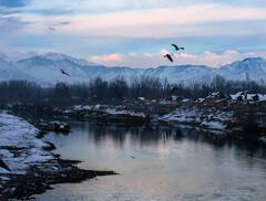 चिलचिलाती गर्मी में लेना है ठंडक का मज़ा...तो ये 6 हिल स्टेशन हैं सबसे बेस्ट