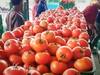 Tomato Price Hike: बारिश ने बढ़ाए टमाटर के दाम, सब्जी मंडी में इतने रुपये तक जा पहुंचे रेट
