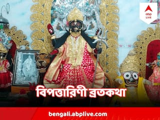 Bipodtarini Puja 2023 :সব বিপদ হরণ করেন যিনি, তিনিই বিপত্তারিণী ! পড়ুন তাঁর ব্রতকথা