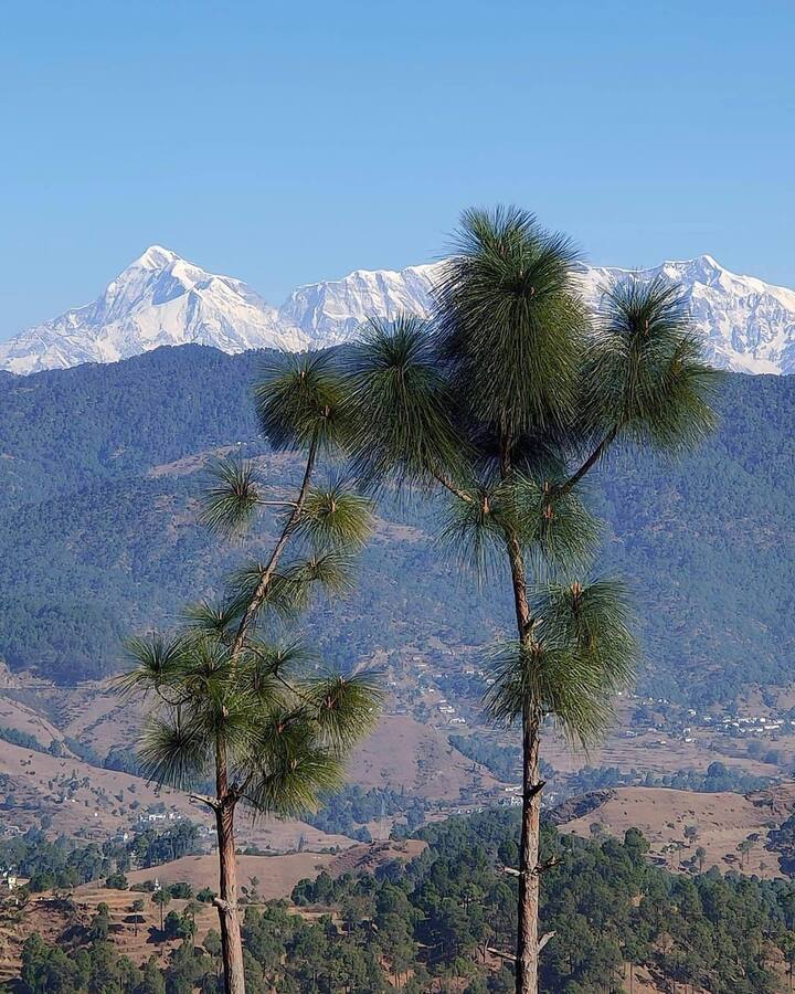 गर्मी से दूर, शांति में कुछ क्वालिटी टाइम बिताना चाहते हैं तो आप रानीखेत की भी सैर कर सकते हैं. यह उत्तराखंड के अल्मोड़ा में स्थित एक छोटा सा खूबसूरत शहर है. इस शहर का वातावरण इतना शांत है कि आप यहां आने के बाद यही कि हो जाएंगे. फूलों से ढ़के रास्ते देवदार और पाइन के लंबे पेड़ पर्यटकों को आकर्षित करते हैं. गर्मियों में रानीखेत घूमना एक अच्छा ऑप्शन हो सकता है.