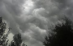 Rain forecast: เชเชเชพเชฎเซ เชคเซเชฐเชฃ เชเชฒเชพเชเชฎเชพเช เช
เชฎเชฆเชพเชตเชพเชฆ เชธเชนเชฟเชค เช 14 เชเชฟเชฒเซเชฒเชพเชฎเชพเช เชงเซเชงเชฎเชฎเชพเชฐ เชตเชฐเชธเชพเชฆเชจเซ เชเชเชพเชนเซ