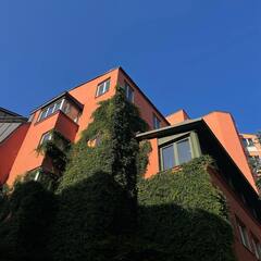 Athiya shetty: ஸ்வீடன் சென்றுள்ள கே.எல்.ராகுல் மனைவி..வைரலாகும் அத்தியா ஷெட்டி புகைப்படங்கள்!