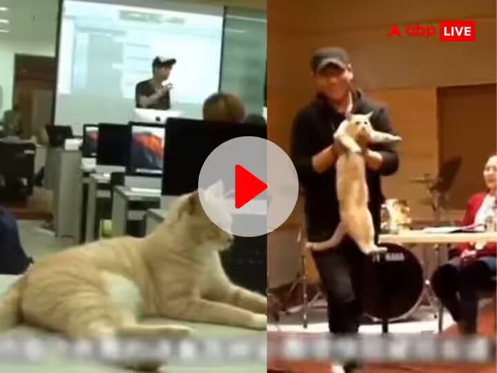 viral video cat studying among top students of college viral video ਦੁਨੀਆਂ ਦੀ ਪਹਿਲੀ ਬਿੱਲੀ, ਜੋ ਪੜ੍ਹਨ ਲਈ ਕਾਲਜ ਜਾਂਦੀ : ਹੋਸਟਲ ਵੀ ਦਿੱਤਾ ਹੋਇਆ, ਕੰਪਿਊਟਰ ਵੀ ਸਿੱਖਦੀ