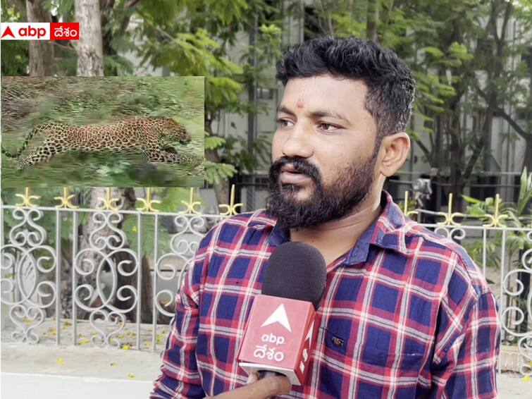 Tirumala Leopard Attacks Boy: recovering fast who injured in Leopard Attack in Tirumala DNN Tirumala: చిరుతపులి దాడి ఘటన - బిడ్డకు ఏమైనా జరిగితే ప్రాణాలు వదిలేవాళ్లం! కౌశిక్ తల్లితండ్రులు