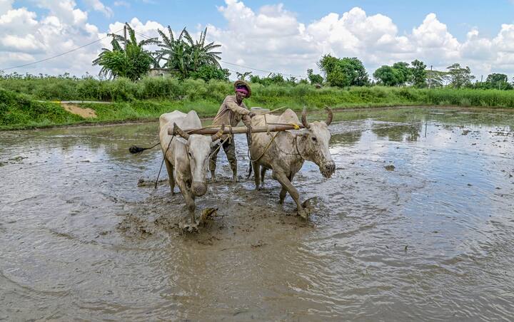 আজ রাজ্যজুড়েই বৃষ্টি হবে। সঙ্গে থাকছে বাজ পড়ার আশঙ্কা। আবহাওয়া দফতর জানিয়েছে, আগামী তিনদিন গোটা দক্ষিণবঙ্গেই বৃষ্টি বাড়বে।