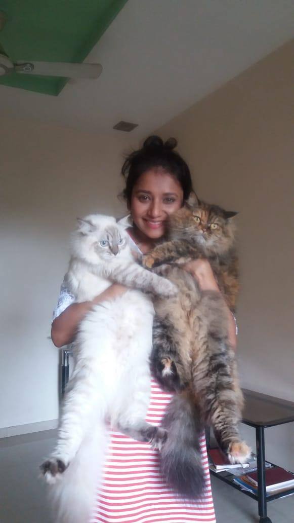 मराठमोळी अभिनेत्री जुई गडकरी सध्या एका वेगळ्याच कारणाने चर्चेत आहे.