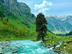 चिलचिलाती गर्मी में लेना है ठंडक का मज़ा...तो ये 6 हिल स्टेशन हैं सबसे बेस्ट